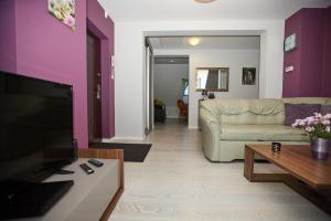 Telewizja i/lub zestaw kina domowego w obiekcie APARTAMENTY NAD ŁOMNICZKĄ-MALACHIT