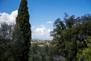 einen Blick auf die Stadt von zwei Bäumen in der Unterkunft Tenuta Borsari in Frascati