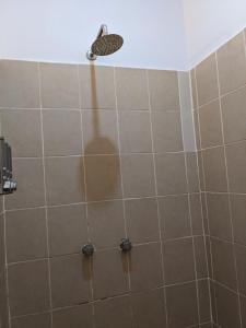 łazienka z prysznicem z głowicą prysznicową w obiekcie Hacienda De Palmas w mieście La Ribera