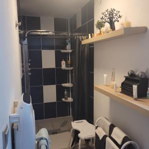y baño con ducha y azulejos blancos y negros. en Chambre chez l habitant...maison Zen Zen, en Brévonnes 21 fotos más