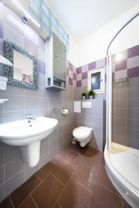 布拉格Bohéme Apartment Wenceslas Square的带水槽和马桶的浴室