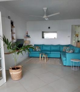 a living room with a blue couch and a plant at Trou d’Eau Douce - Campement pieds dans l’eau in Trou dʼ Eau Douce