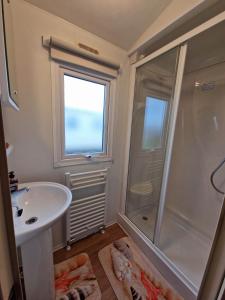 a bathroom with a shower and a sink at Pride caravan in Rhyl