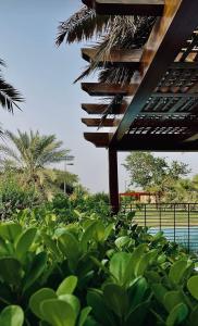 a field of green plants next to a building at Bedya Farm in Khor Fakkan