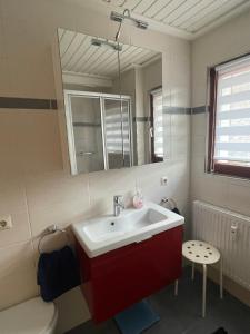 a bathroom with a sink and a mirror at Mellex FeWo in Feldberg