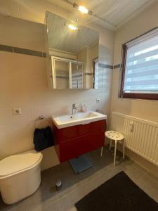 ein Badezimmer mit einem WC, einem Waschbecken und einem Spiegel in der Unterkunft Mellex FeWo in Feldberg