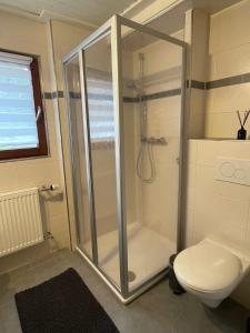 uma casa de banho com um chuveiro e um WC. em Mellex FeWo em Feldberg