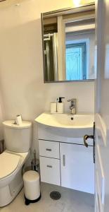 W łazience znajduje się toaleta, umywalka i lustro. w obiekcie Grandma’s stone-house w mieście Amfilochia