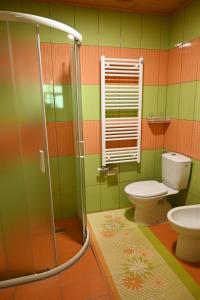 La salle de bains verte est pourvue de toilettes et d'une douche. dans l'établissement Ranč Stojnšek, à Rogaška Slatina
