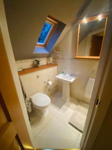 a bathroom with a toilet and a sink and a window at Little Woodside a beautiful New Forest self contained private luxury annexe in New Milton