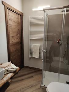 a bathroom with a shower and a toilet and a sink at A casa da Elide in Aymavilles