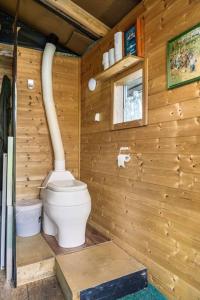 een badkamer met een toilet in een houten muur bij Bromlebu in Notodden