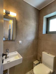 a bathroom with a sink and a toilet and a mirror at Selene houses in Athani +27 photos