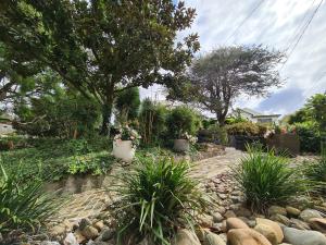 a garden with rocks and plants and trees at Bamboo House, Close to the City & Airport & Train station and Brighton Le Sands Beach in Sydney