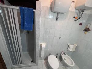 een kleine badkamer met een toilet en een douche bij L'altro PAGLIUCO - Casa in Campagna in Sulmona