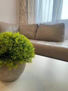 ein Wohnzimmer mit einem Sofa und einer Topfpflanze in der Unterkunft Klaipeda Center Apartment in Klaipėda