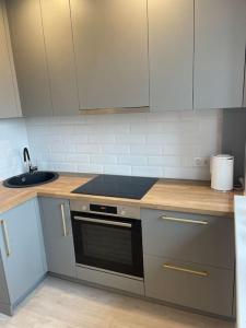 uma cozinha com um lavatório e um fogão forno superior em Klaipeda Center Apartment em Klaipėda