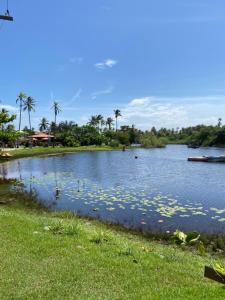 a lake with a bunch of flowers in the water at Apartamento Pimenta Rosa, 400m do mar, rua principal in Imbassai