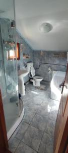 a bathroom with a shower and a toilet and a sink at Cottage in traditional village Bradulet, Arges county in Brăduleţ