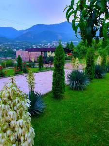 Paesaggio naturale nelle vicinanze del bed & breakfast