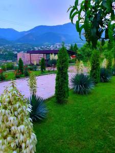 un jardín con plantas y un edificio de fondo en Guest house Ijevan's Garden en Ijevan
