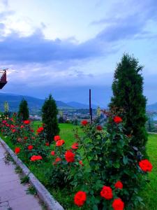 un campo de flores rojas y árboles en una colina en Guest house Ijevan's Garden en Ijevan
