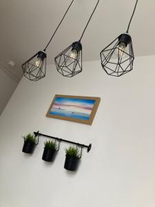 un cuadro colgado en una pared con cuatro luces en Buttercup Cottage en Dundrum