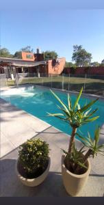 two potted plants sitting next to a swimming pool at Casa con Piscina y Parrilla in Garupá