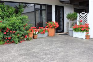 a bunch of pots of flowers on the front of a house at Maison de Rose in Auckland