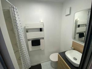 łazienka z umywalką, toaletą i lustrem w obiekcie L'Orée du Golf, studio 2 w mieście Mont-Saint-Aignan