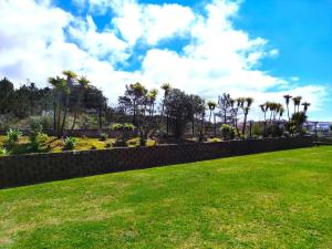 un giardino con palme e una parete di mantenimento di Sunrise Apartmento Ribeira d'Ilhas Ericeira a Ericeira