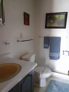 Baño blanco con aseo y lavamanos en Leslie's Retreat, en Campton