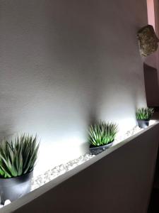 três vasos de plantas sentadas num parapeito numa parede em Casa vacanze Ni Micheli em Naro