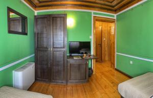 a room with green walls and a tv and a desk at Guest rooms Colorit in Koprivshtitsa
