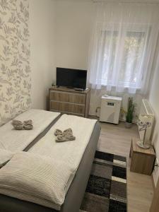 een slaapkamer met 2 bedden en een tv. bij Krisztina Apartman 81 in Hajdúszoboszló