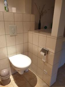 a bathroom with a toilet and a toilet paper dispenser at Appartement proche d'Europa park/Marchés de Noël in Rhinau +9 photos