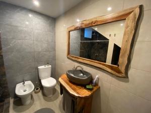 un bagno con un water, un lavandino e uno specchio di Penha D'Águia Villa a Porto da Cruz Altre 14 foto