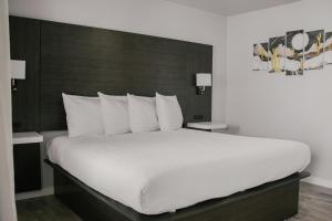ein Schlafzimmer mit einem großen Bett mit weißer Bettwäsche und Kissen in der Unterkunft Bears Ears Inn in Blanding