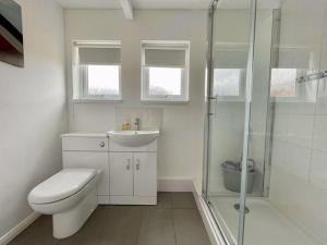 a bathroom with a toilet and a sink and a shower at The Nest in Hemsby