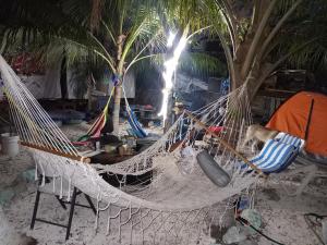 una hamaca en una playa con 2 palmeras en Sustainable Cabain en Cozumel