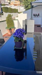 A balcony or terrace at El nido del amá