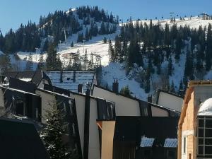 a view of a snowy mountain from a building at Vila Akva in Jahorina