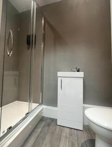 a bathroom with a shower and a toilet and a sink at Stylish 2 bed apartment. in Birmingham