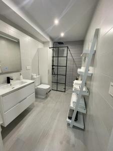 a bathroom with a sink and a toilet and a mirror at Nuevo apartamento Folin in Don Benito