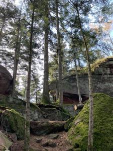 a group of trees and rocks in a forest at Appartement avec terrasse privative in Celles-sur-Plaine