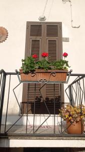 un plantador con flores rojas encima de una mesa en La "Casina nel borgo" , relax a un passo dalle 5 Terre, en Merizzo