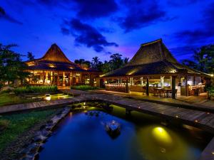 烏布的住宿－Permata Ayung Private Estate，夜间带游泳池的别墅
