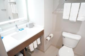 a white bathroom with a sink and a toilet at Holiday Inn Express Fremont - Milpitas Central, an IHG Hotel in Fremont