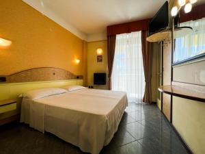 um quarto de hotel com uma cama e uma televisão em Hotel Soleblu em Rimini