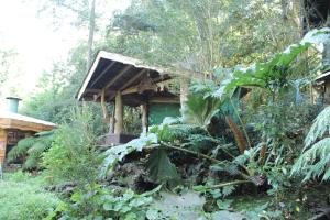 Zahrada ubytování Valle el Abra Ralún Lodge